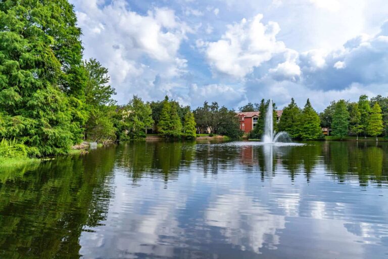 Our beautiful pond at our luxury apartments in Tampa Palms.